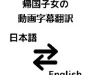 日本語⇄英語　動画に字幕をつけます 英検準一級合格者が動画を海外層にウケるように翻訳します。 イメージ1