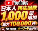 YouTubeで1000回の日本再生増やします 日本人再生回数を+1000人！【最大10万人まで対応】 イメージ1