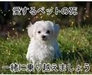 愛するペットを失ったあなたに寄り添います 悲しい気持ち、寂しい気持ち、我慢しなくていいんですよ。 イメージ1