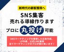 SNSマーケティングを駆使した集客導線作ります プロにSNS広告、LP、LINE登録までの集客導線を依頼可能 イメージ1