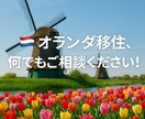 オランダ移住相談、何でもお伝えします 学校選び・家探し・起業まで全般対応しています！ イメージ1