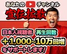 YouTube貴方の動画を日本人視聴者に宣伝します 国内広告で再生回数アップ/日本国内で宣伝拡散します！ イメージ1