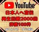 YouTube広告で日本人再生回数と評価増やします ＼日本人に向けて宣伝／再生回数2000回＆評価100件⚡️ イメージ8