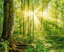 女性限定✨どんな内容でも優しく聞きます 最短１分から！合わないと思ったら途中で切って構いません！ イメージ1