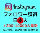 インスタグラムの日本人フォロワー 販売します instagram日本人のフォロワーを200-5000人獲得 イメージ9