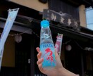 SNSやプロフィール用のおしゃれな写真を撮影します ワンカット1000円〜、ご要望の素材写真をお撮りします！ イメージ2