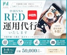 中国SNS(RED)運用代行いたします 中国事業の支援・伴走ならLeeソリューションにお任せください イメージ1