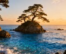 相手の思考と感情を可視化し“リアル相性分析”します “思考と感情”を見える化するだけで、相性のズレは解消します イメージ5