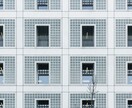 商用フリーの写真提供します 誰もが自然と引き込まれる写真です イメージ7