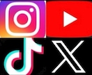 インスタに日本人フォロワーを100人拡散します 先着20名までの限定価格/補填あり/初回購入特典あり イメージ11