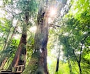 仕事・選択・人間関係──悩みや葛藤の糸口を探ります 霊感鑑定で本音や流れを読み解き、心の揺れや迷いを整理します イメージ2