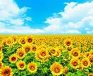 看護師長さん必見！誰にも言えない悩みにお応えします 貴方を困らせてる部下ナースは、誰ですか？今日の敵は明日の味方 イメージ1