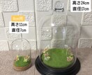 大切なペットちゃんのお人形を作ります 完成まで2週間。途中経過のお写真ご覧頂けます イメージ10