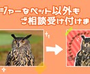 自慢の家族をアイコンに☆写真を可愛く手描き致します 写実とデフォルメ、2種類の絵柄から選べる！ イメージ3