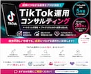 SNSのプロがTikTokをコンサルします 総フォロワー30万人インフルエンサーとプロマーケターのタッグ イメージ1