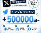 X（旧Twitter）のインプレッション増やします 【出品記念価格！さらに10%UP】迅速に対応いたします⭐️ イメージ1