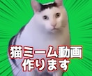 猫ミーム動画の編集おこないます 猫ミーム動画の編集を行います。 イメージ1