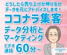 ココナラ出品をコンサルします 外コン出身コンサルタントがデータの力でマーケ課題を解決！ イメージ1