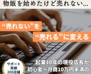 ネット物販 初心者向け 売上改善します 初心者から売上10万円未満の方対象 売れないを現役店長が解決 イメージ1