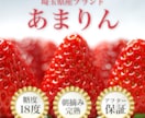 魅力と売上を引き出す商品画像を制作いたします 高品質なデザインで売上UPに繋げます！ イメージ3