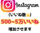 インスタ投稿の『500いいね』増加します Instagram いいね　いいね数　増加　付与 イメージ1