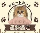 タロットカード1枚引き鑑定します ☆1枚のカードがあなたの道しるべに☆ イメージ1