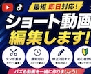 Shorts・TikTok動画編集します スキルはフルテロップとテンポのいいカットを得意としています イメージ1