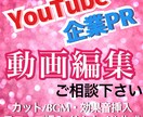 YouTube向け動画・企業PR動画の編集承ります 個人・法人の用途に合った編集を心がけております！ イメージ1