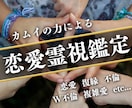 恋愛全般から結婚・子宝まで特殊な霊視で鑑定します シャーマンの血筋によるカムイの力を借りた霊視をご体験ください イメージ1