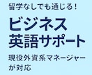 留学なしで習得！ビジネス英語の学び方おしえます 外資系企業で実務に通用した英語学習法をお伝えします イメージ1
