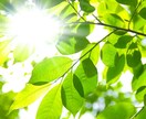 心の休日カウンセリングルーム:お話し出来ます Consejero psicologíaインテーク面接無料 イメージ3