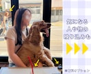 スマホで1日出張撮影します ひとり観光•推し活•マチアプ【コスパ◎】無限に撮り放題！ イメージ7