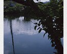 がんばりすぎるあなたへ心が落ち着く一枚を送ります ポストカード　　田舎の写真・風景 イメージ4