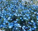 秘書検定1級の面接対策します 秘書検定1級の面接に対する疑問をテキストでお伝えします⭐︎ イメージ1