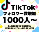 TikTokのフォロワー数を1000人増加させます ★11月限定1500人まで同価格★12時間以内返信★ イメージ1