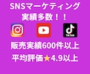 Youtubeチャンネル登録者数300～増やします 【お手頃価格❗】YouTubeチャンネル登録者数300~増加 イメージ2