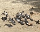 とにかく話を聞きます 恋愛、仕事、人間関係、なんでもござれ イメージ1