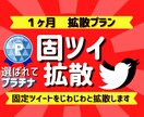 １ヶ月プラン、毎日固定ツイを拡散します 総フォロワー17000。毎日あなたの固ツイを拡散します！ イメージ1