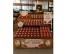 売れる売場作りをサポートします 届いたその日から売場で使える販促セットをお届けします。 イメージ7