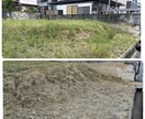 大阪、奈良● 田、畑、お庭の草刈りを代行いたします プロと変わらぬ技術力でスピーディーかつ丁寧な作業を実施します イメージ3