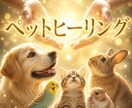 １回20分、ペットさんの体調をヒーリングで整えます 体調不良がある子や健康維持、終末期の子にもお受けいただけます イメージ1