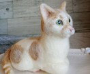 羊毛やフェルトで手乗りサイズのペット置物を作ります ペットロスを癒す！猫や犬、うさぎ、ハムスター、リス、うちのコ イメージ1
