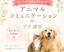 お家の動物さんとお話する方法教えます お家の動物さんと話せるアニマルコミュニケーション・プチ講座 イメージ1