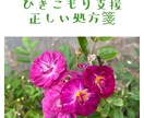 不登校・ひきこもり・子どもの暴言・相談承ります 専門資格保持者が「不登校やひきこもりの悩み」にお答えします。 イメージ6