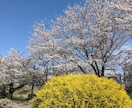 人生経験の豊富なカウンセラーが悩みに応えます チャットで悩み相談できます　心理カウンセラーの資格有です イメージ4