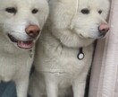 今気になっている人とあなたの相性をみます その気持ちが勘違いなのか、本物なのかお誕生日から読み解きます イメージ1