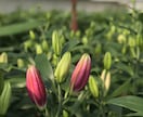 ハイヤーセルフと一体化する方法を伝授します 生きる上での安心感が増します。 イメージ1