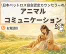 お電話枠！その場でペットちゃんとお話します リアルタイムで安心｜日本ペットロス協会正会員カウンセラー イメージ1