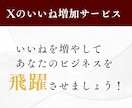 Xフォロワー増やします ツイートの力を引き出す！いいね増加の簡単ブースト！ イメージ2