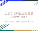真似できる！せどりで利益出た商品30個教えます 販売額も利益も公開！ライバルと差が出るせどり解説もセット イメージ3